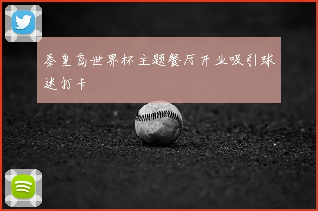 秦皇岛世界杯主题餐厅开业吸引球迷打卡