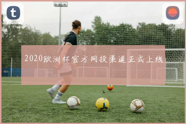 2020欧洲杯官方网投渠道正式上线
