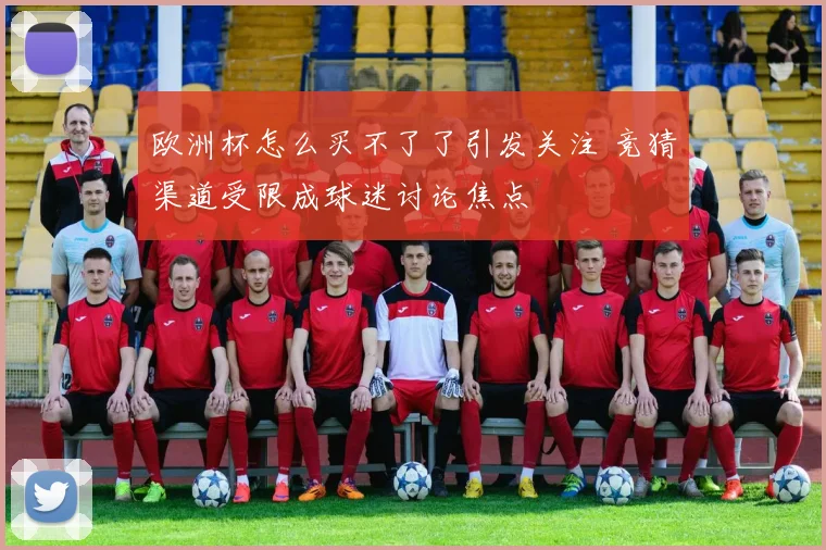 欧洲杯怎么买不了了引发关注 竞猜渠道受限成球迷讨论焦点