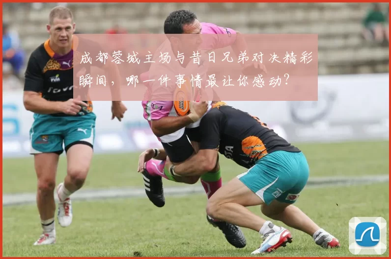 成都蓉城主场与昔日兄弟对决精彩瞬间，哪一件事情最让你感动？