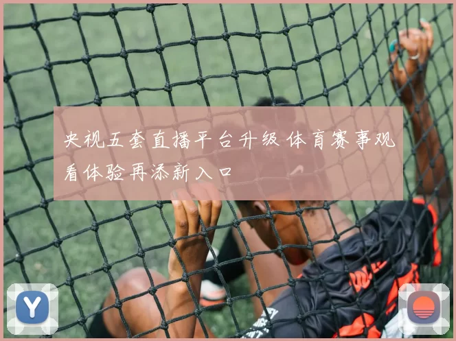 央视五套直播平台升级 体育赛事观看体验再添新入口