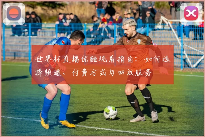 世界杯直播优酷观看指南：如何选择频道、付费方式与回放服务